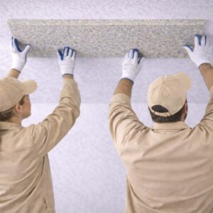 Installation d’Elitexa au plafond par deux personnes Installation d'Elitexa au plafond par deux personnes